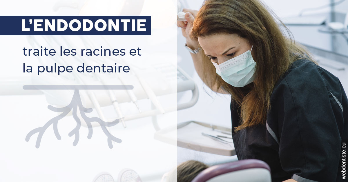 https://dr-carroy-frederic.chirurgiens-dentistes.fr/L'endodontie 1