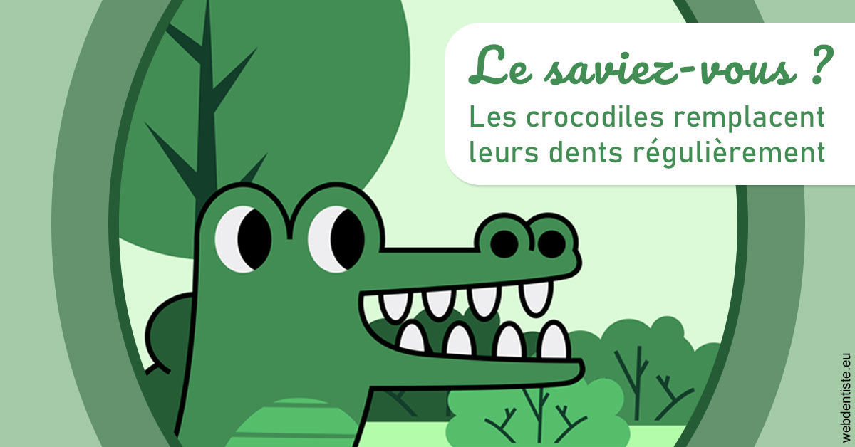 https://dr-carroy-frederic.chirurgiens-dentistes.fr/Crocodiles 2