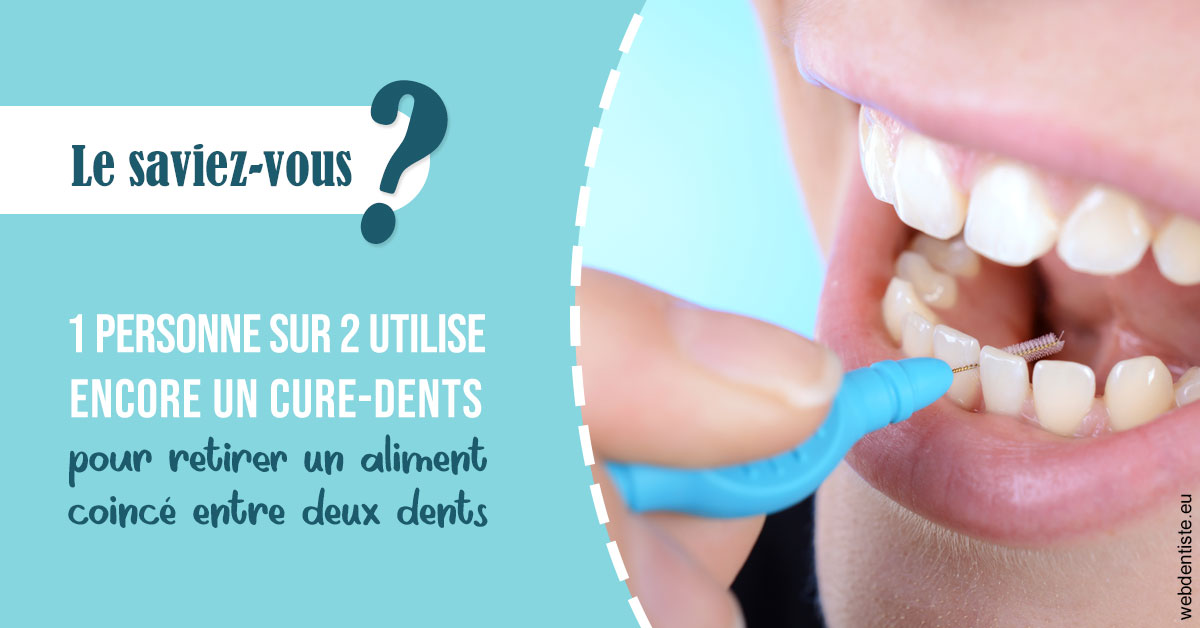 https://dr-carroy-frederic.chirurgiens-dentistes.fr/Cure-dents 1